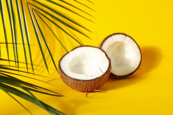 Coconut halves and palm branch on yellow background, close up