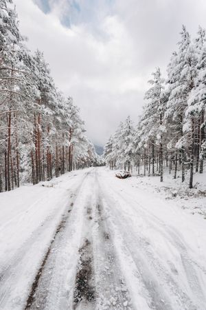 Winter snowy empty country road