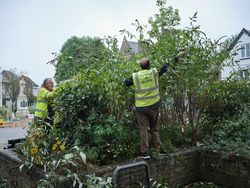 Two mature males trimming hedges in town