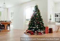 Christmas celebrations with beautifully decorated Christmas tree at home 5XrKWk
