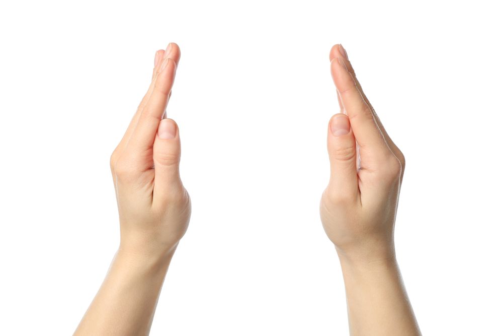 Female hands holds something, isolated on blank background