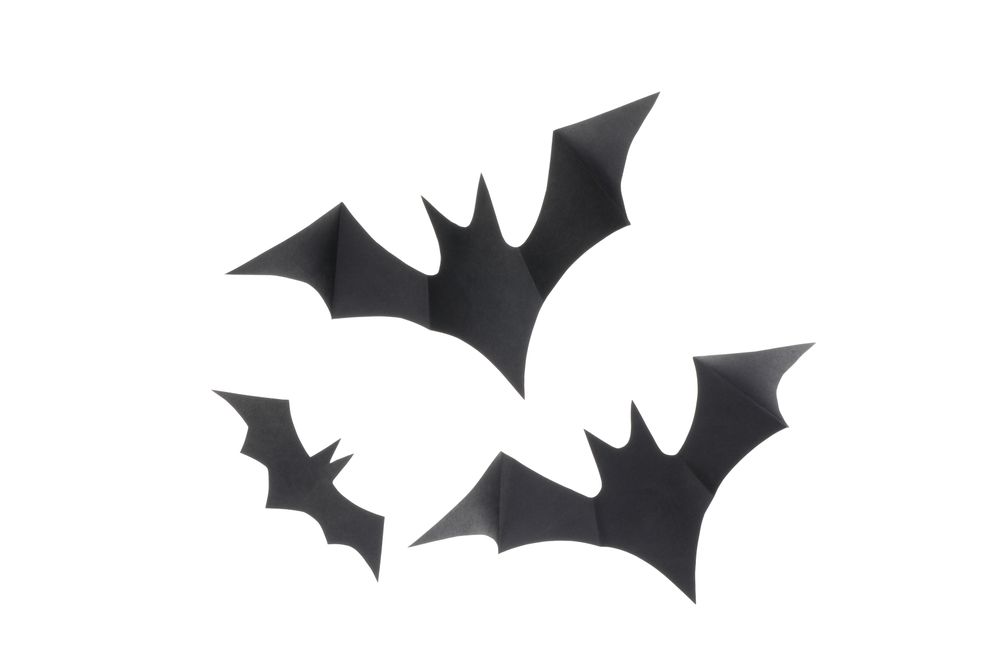 Decorative bats isolated on plain background