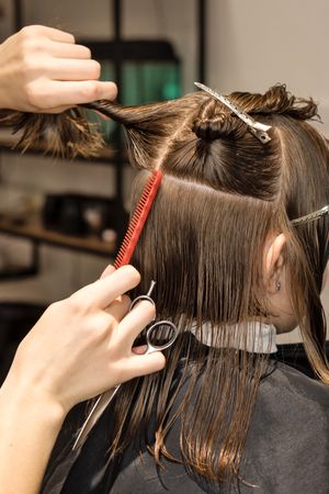 Process of cutting bob, back view