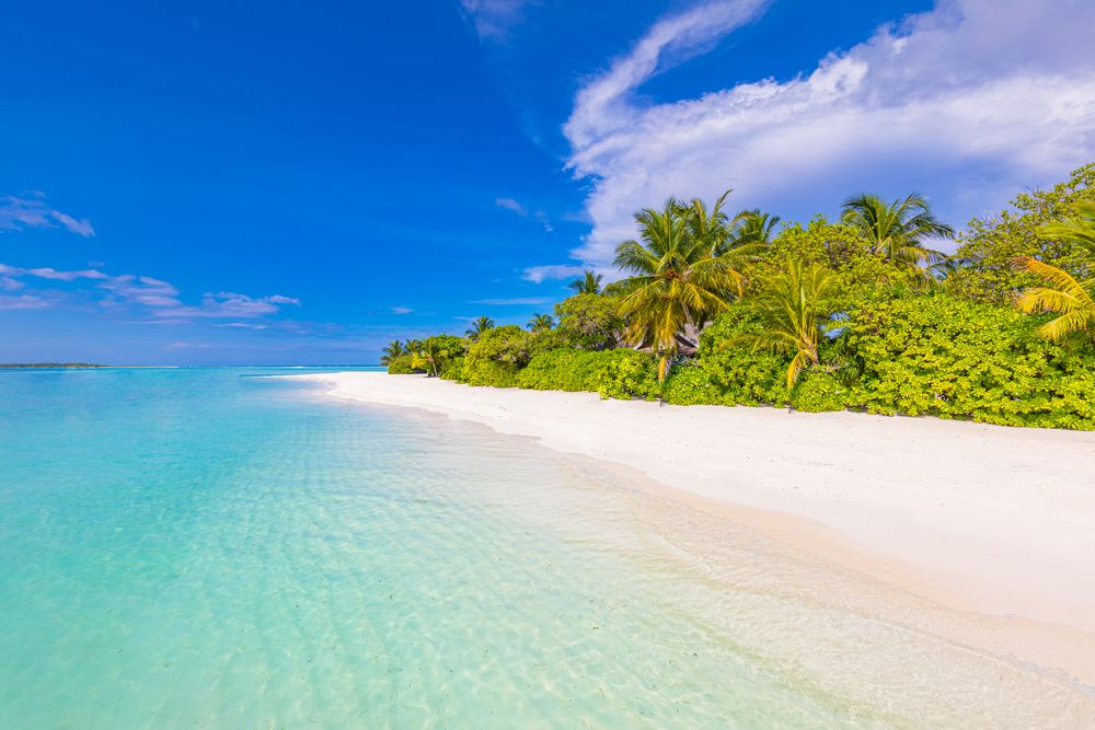 Ocean front with jungle