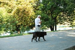 Man walking a dog in city park