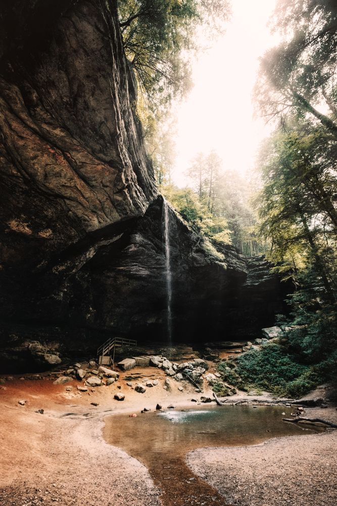 Cave in forest during daytime