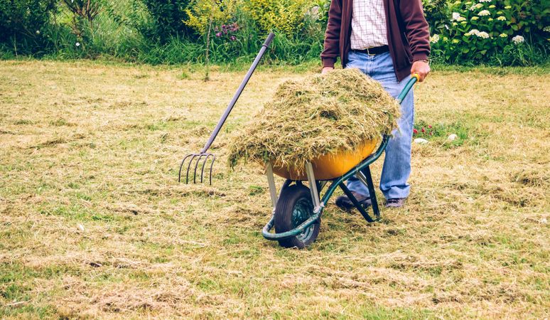 Older man carrying wheelbarrow with hay on field