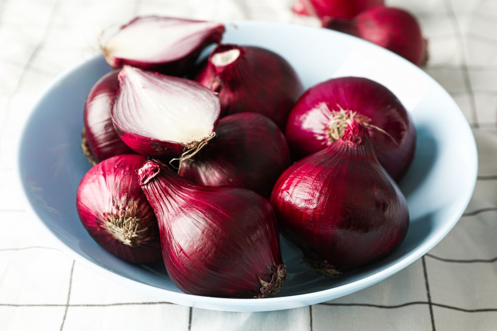 Plate with red onion on towel background, closeup