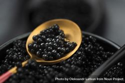 Close up of caviar on golden spoon 0KWX70