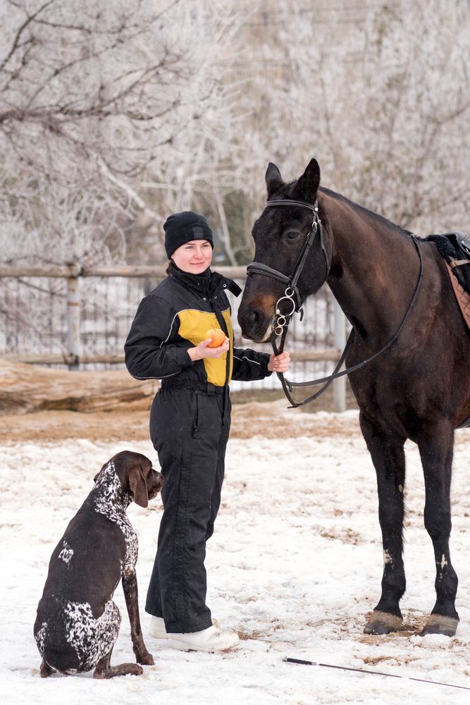 Person with dog attending to a horse in snowy weather.