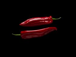 Shiny fresh red hot peppers on dark background