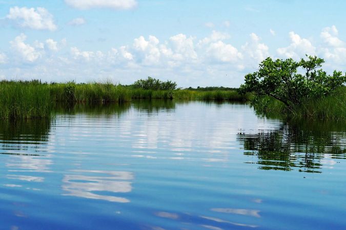 Tranquil Ripples: Deep Blue Pond in the Everglades on a Sunny Day