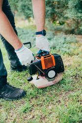Man pruning arizonica hedge
