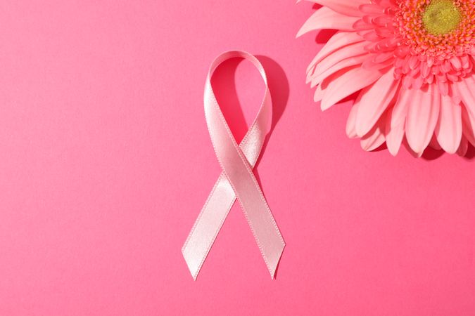 Pink awareness ribbon and gerbera on color background, space for text.