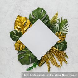 Green and gold leaves surrounding square paper on marble background bxjXa5