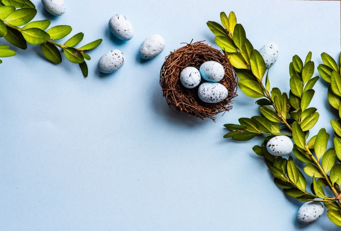 Easter holiday card with spotted eggs in nest and branch on pastel blue background