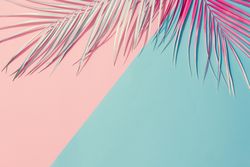 Tropical painted leaves on pink and blue background