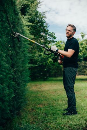 Man pruning arizonica hedge