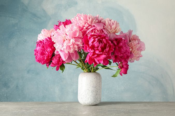 Vase with bouquet of beautiful peonies on grey table against blue background, space for text