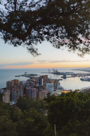 View of city and sea from hill