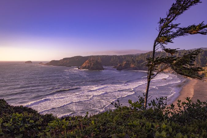 Looking down at waves coming into the beach from a grassy cliff