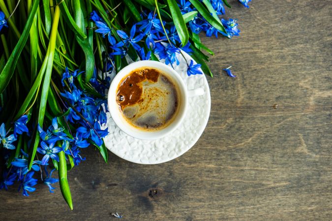 Spring concept with top view of coffee and blue flowers