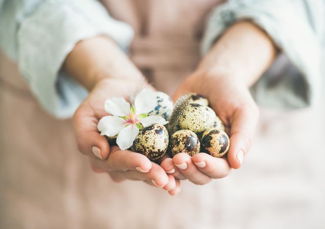Local female farmer holding little bird eggs in her hands