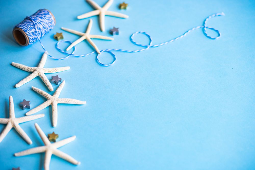 Sea side concept with star shells on blue background with space for text