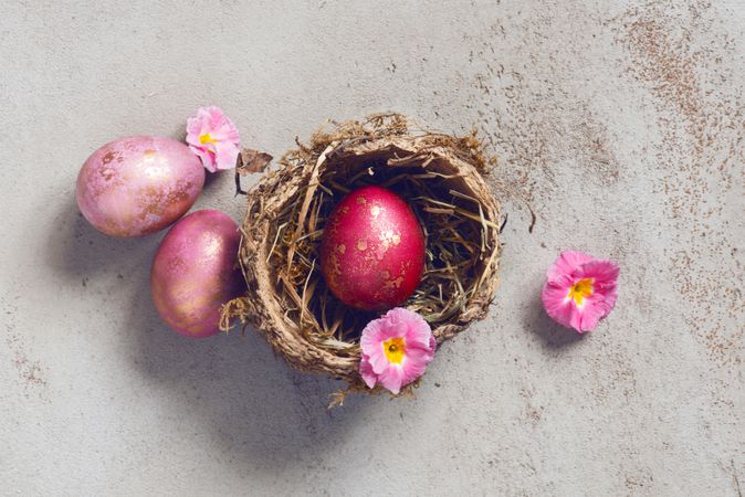 Top view of pink eggs and flowers in nest