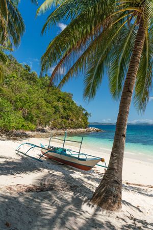 Palm and boat on tropical sandy beach