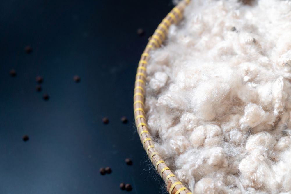 Kapok, tropical cotton fruit used for fiber and seed