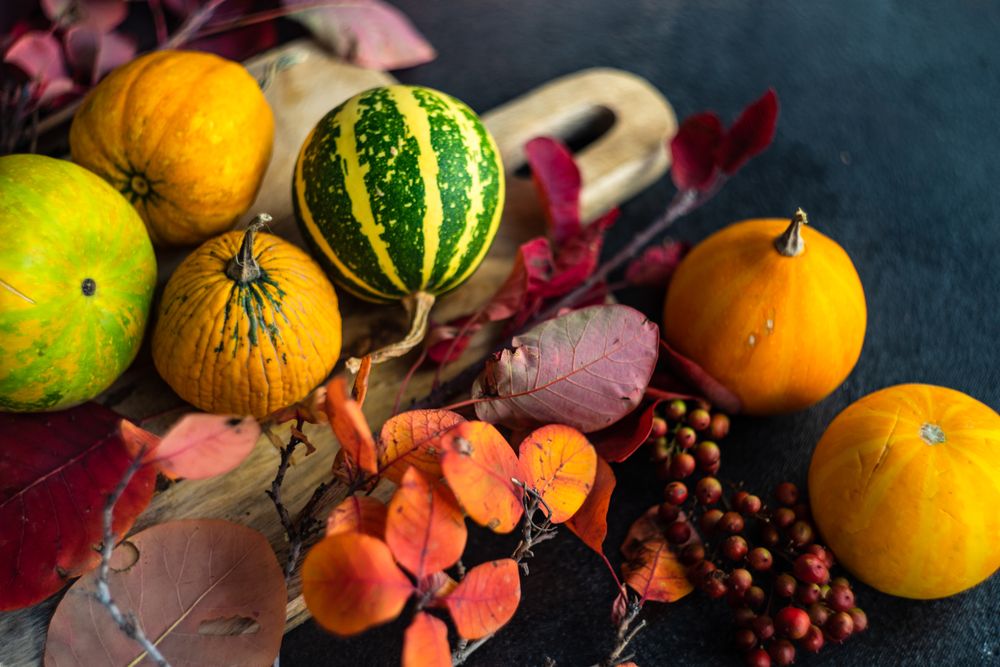 Squash on breadboard with leaves