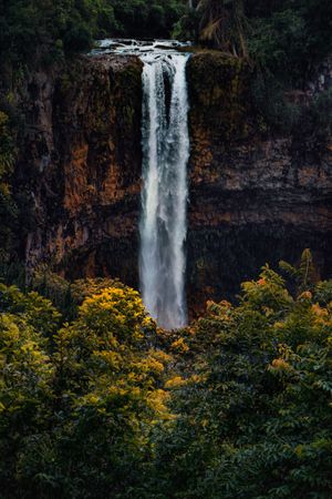 Water fall going over rocks into green and yellow vegetation, vertical