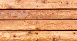 Top view of outdoor wooden stain deck boards with natural rain water