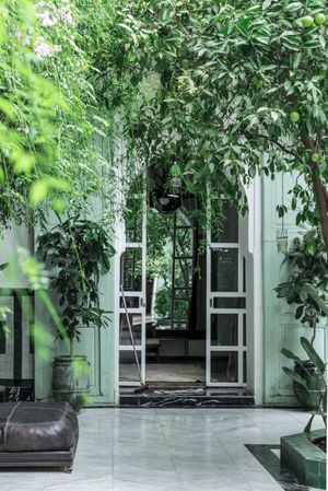 Potter trees near green house