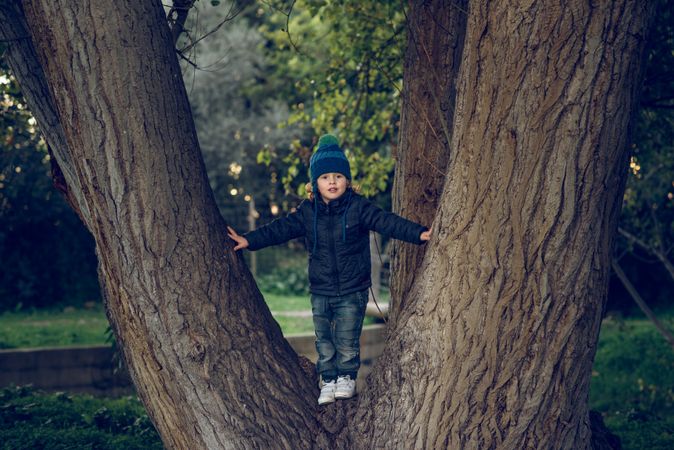 Cute boy standing on tree trunk