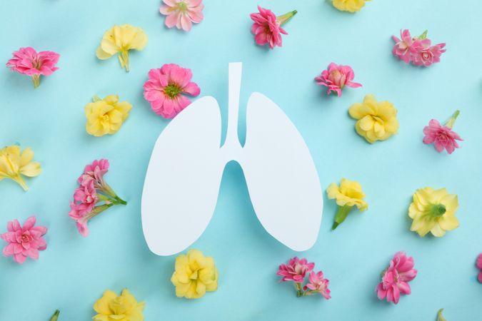 Lung cut out from paper on blue background surrounded by flowers