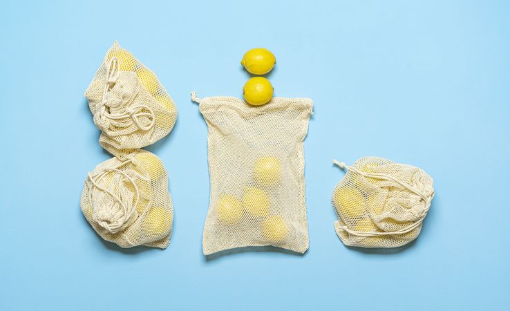 Lemons in reusable bags