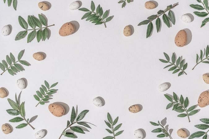 Green branches and brown eggs scattered on light  background
