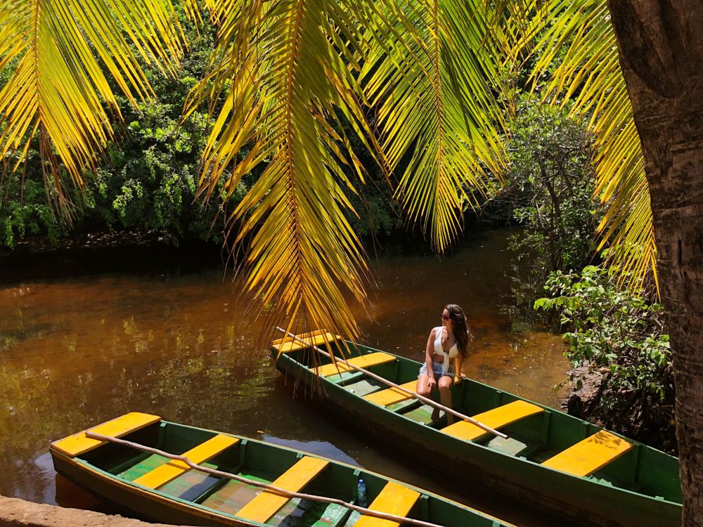 Woman sitting on boat in river under the trees