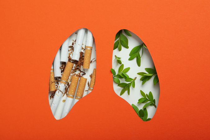 Lung shape cut out of orange paper with cigarettes and foliage