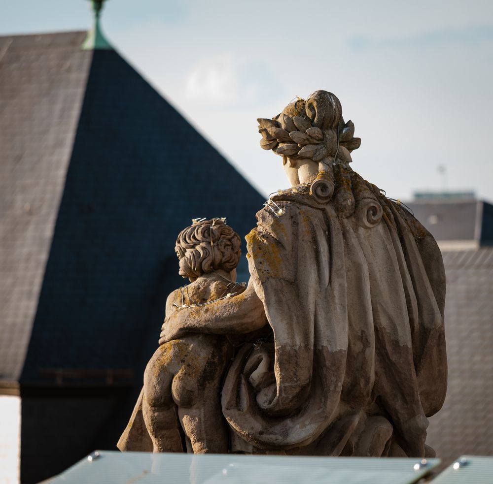 Roofs of the city of Strasbourg. Library building. St Paul's Cathedral.