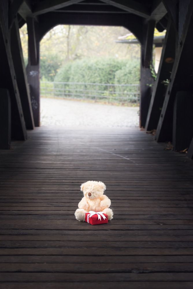 Stuffed toy and gift in a wooden tunnel
