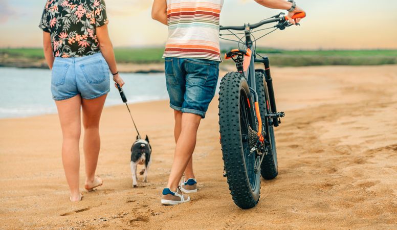 Back of male and female walking with bicycle and dog along sandy coastline