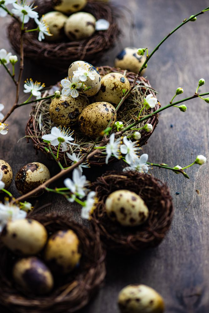 Easter holiday card concept of nest and speckled eggs on wooden table