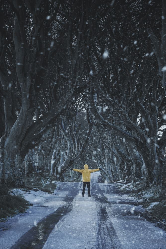 Unrecognizable person on beech trees tunnel in winter day