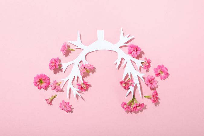 Paper lung bronchus with flowers