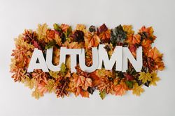 “AUTUMN” in light paper surrounded with fall leaves