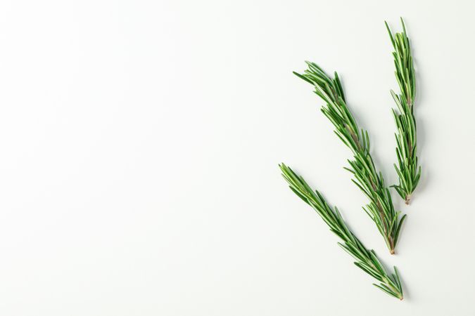 Flat lay composition with rosemary on neutral background, space for text