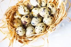 Easter card concept with speckled eggs in hay